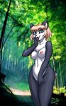  breasts dr_comet female japanese nude panda solo 