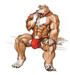  border_collie bulge canine claws collar colleen crossgender dog looking_at_viewer male muscles road_rovers sitting skimpy solo speedo spread_legs spreading stagor55 tail underwear 
