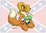  antti_remes breasts canine clothing confederate_flag female flag fox kneeling looking_at_viewer mammal shirt solo tail top 