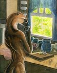  cekle characterful coffee cooking kaputotter male otter pensive slice_of_life solo watercolour window 