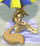  2009 abluedeer beach bikini canine cute female fennec fox sandy seaside sitting skimpy solo towel umbrella 