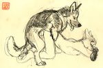  anthro_on_feral bestiality canine dog duo feral from_behind interspecies java knot mammal monochrome mount plain_background sepia sex sketch yellow_background yellow_theme 