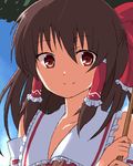  bad_id bad_pixiv_id bow brown_hair closed_mouth face hair_bow hair_ornament hair_tubes hakurei_reimu long_hair lowres oekaki portrait red_eyes smile solo touhou usame 