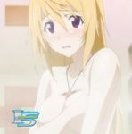  blonde_hair blush blushing breasts charlotte_dunois cleavage infinite_stratos jewelry naked necklace nude shower steam stitch stitched 