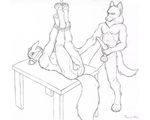  anal bdsm bondage canine canine_penis gay male muzzle penis rape taurin_fox tied 