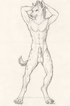  arms_behind_back balls black_and_white hyena male mammal monochrome myenia nude penis plain_background sketch solo white_background 