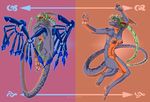  dragon female mariecannabis model_sheet molly_pallone nude scalie solo technophilia wings 