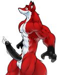  black_penis bng canine cum fox huge_penis male penis precum red red_eyes solo standing tail 