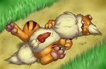  balls catwolf feral growlithe knot lying male nintendo on_back penis pok&#233;mon pok&eacute;mon solo video_games 