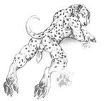  blotch butt canine canine_penis dalmatian dog hindpaw invalid_tag male penis sketch solo 