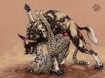  african_wild_dog blotch canine canine_penis cheetah couple dog feline gay imminent_knotting knot male rough sheath teeth 
