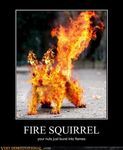  demotivational_poster epic fire squirel tagme what 