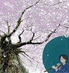  cherry_blossoms copyright_request rain solo umbrella ymr 