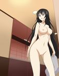  black_hair breasts gluteal_fold highres infinite_stratos nipples nude nude_filter photoshop pussy shinonono_houki uncensored vector_trace 