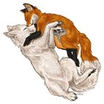  canine cuddle eyes_closed feral fox racie 