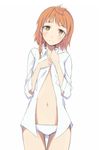  1girl blush bottomless brown_eyes d-frag! female flat_chest hatsudai_(d-frag!) orange_hair panties short_hair simple_background solo underwear white_background 