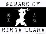  chinese_text english_text japanese llama ninja sign silhouette sword text unknown_artist wallpaper weapon 