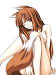  animal_ears breasts brown_hair canine covering_self female hair hentai horo long_brown_hair long_hair one_eye_closed ookami_to_koushinryou ookamimimi red_eyes sitting soft solo tail unknown_artist wolf wolfgirl 