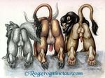  all_fours anus balls big_balls bovine bull butt canine cow feline hooves horns line_up lion male minotaur penis presenting raised_tail rog_minotaur tail trio wolf 