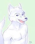  battle_angel canine male solo topless wolf 