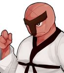  bald karate_uniform nintendo pokemon red_skin throh 