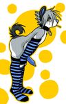  2008 arm_warmer blue_penis canine chubby collar dog klee_kai knot leg_wamers lollipop male muzz muzz_(character) nude socks solo stripes 