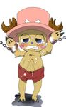  balls blue_nose cervine chopper cum dagasi deer hat horn horns male mammal one_piece penis plain_background solo tony_tony_chopper white_background 