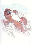  balls feral gryphon gyphon male masturbation nude penis snowy_dragon solo wings 