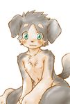  blue_eyes canine chest_tuft cute dog kyoto_kurotsuki looking_at_viewer male nude sitting solo tail 