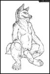  artonis canine canine_penis chubby dog knot male nude penis solo 