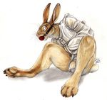  bdsm blotch bondage bound gag lagomorph male mammal plain_background rabbit sheath sitting solo straitjacket white_background 