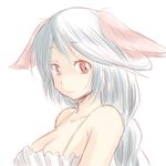  animal_ears ao_usagi bad_id bad_pixiv_id commentary fictional_persona long_hair lowres original red_eyes shiro_nezumi simple_background sketch solo upper_body white_hair 
