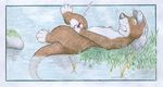  cum dormant_otter dormantotter eyes_closed lying male mammal masturbation mustelid nude on_back otter penis solo water wet 