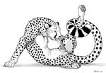  autofellatio cheetah cum exuli feline fellatio feral male nude oral oral_sex sex solo 