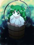  alternate_breast_size breasts bucket cleavage dithering expressionless green_eyes green_hair hair_bobbles hair_ornament in_bucket in_container kisume large_breasts mono_(moiky) older short_hair solo touhou twintails 