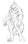  canine collar male nude richard_foley sheath solo wolf 