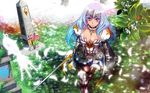  annelotte armor queen&#039;s_blade sword tagme weapon 