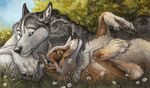  ambiguous_gender blotch canine couple cute flower fox gay grass happy lying male mammal on_back outside smile wolf 