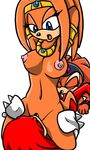  breasts cunnilingus echidna fellatio female knuckles_the_echidna male nipples oral oral_sex plain_background sega sex shade_the_echidna sonic_(series) sonic_team straight tikal_the_echidna unknown_artist vaginal white_background 