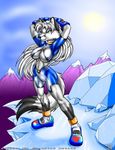  artica canine extinctioners female fox max_blackrabbit pose solo 