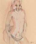  canine fox male nduli nude sheath solo 