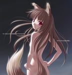  animal_ears back breasts brown_hair canine female hair hentai horo long_brown_hair long_hair looking_over_shoulder nude ookami_to_koushinryou ookamimimi red_eyes soft solo standing tail unknown_artist wolf wolfgirl 