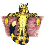  cheetah cone_penis demitri_cheetah_(character) feline feline_penis male nude solo speed_(artist) 