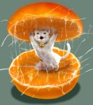  cat feline feral orange parody pussy_juice sazae-san solo tama uziga_waita what 