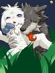  arashi_no_yoru_ni blush canine cub female gabu goat male mei one_stormy_night ryouta_sumeragi straight wolf 