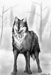  canine feral forest fur fuzzy grey_eyes grey_fur greyscale karabiner mammal monochrome snow tree white_fur winter wolf wood 
