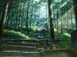  forest grass kashi_takahisa kusakabe_satsuki light_rays md5_mismatch nature sandals scenery shoes single_shoe solo spirit stairs sunbeam sunlight tonari_no_totoro torii tree tree_shade 