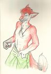  canine fox fursona male paul_mcpherson solo timotei topless 