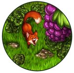  aesop alpha_channel canine fable feral fox fruit grapes licking licking_lips mammal plain_background shibara solo tongue transparent_background 