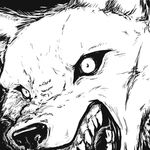  canine close-up fur sefeiren sketch snarl solo teeth white_eyes 